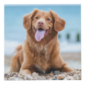 hallo Vaarwel persoonlijke Dog Pet Memorial Foto Kubus (Voorkant)