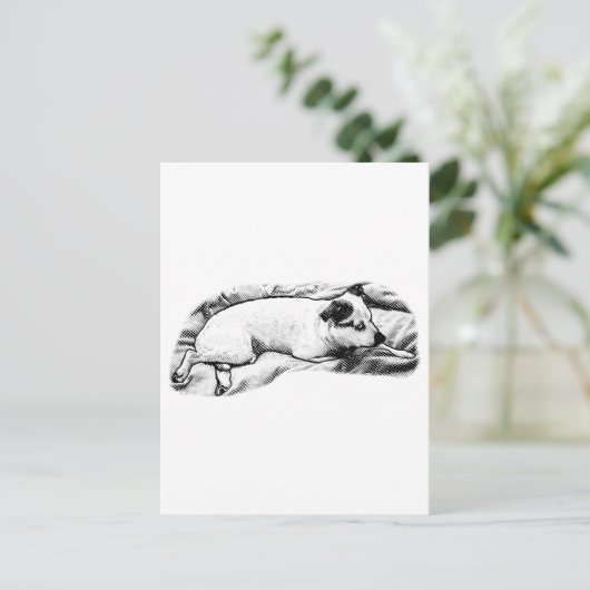 Hallo Vakantie van Blanket en Buddy Briefkaart (Staand voorkant)