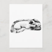 Hallo Vakantie van Blanket en Buddy Briefkaart (Voorkant)