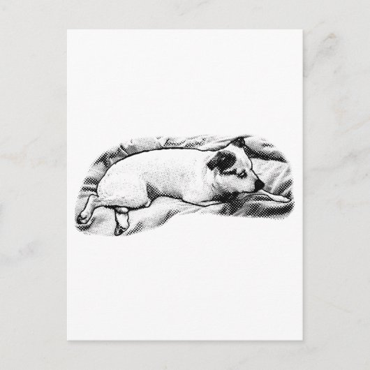 Hallo Vakantie van Blanket en Buddy Briefkaart (Voorkant)