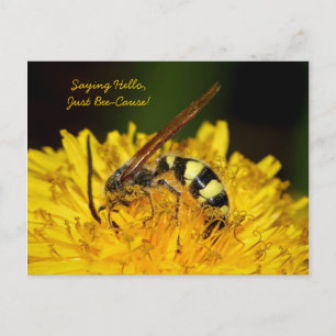 hallo van bijen op gele dandeliakloer briefkaart