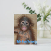hallo van de redding van Borneo Orangutan Orphan Briefkaart (Staand voorkant)