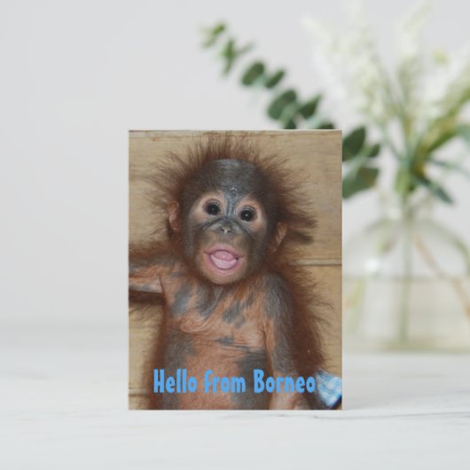 hallo van de redding van Borneo Orangutan Orphan Briefkaart (Staand voorkant)