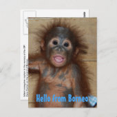 hallo van de redding van Borneo Orangutan Orphan Briefkaart (Voorkant / Achterkant)
