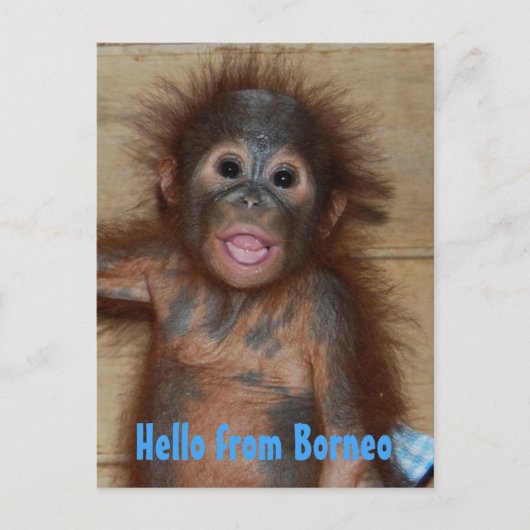 hallo van de redding van Borneo Orangutan Orphan Briefkaart (Voorkant)