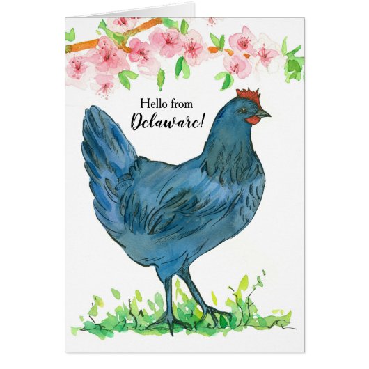 hallo van Delaware Blue Hen Chicken Blank (Voorkant)