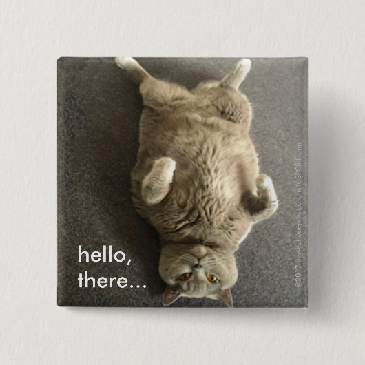hallo van Fiona de Big Blue Cat Vierkante Button 5,1 Cm (Voorkant)