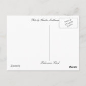 hallo van... Fishermans Wharf Briefkaart (Achterkant)