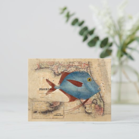 Hallo - van Florida Briefkaart (Staand voorkant)