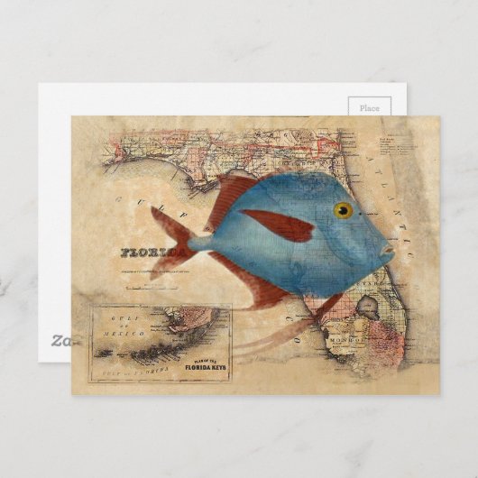 Hallo - van Florida Briefkaart (Voorkant / Achterkant)