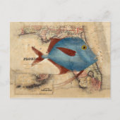 Hallo - van Florida Briefkaart (Voorkant)