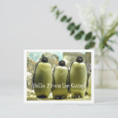 hallo van het Briefkaart Gang (Staand voorkant)