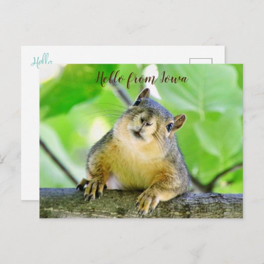 hallo van het Briefkaart Iowa (Voorkant / Achterkant)