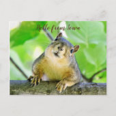 hallo van het Briefkaart Iowa (Voorkant)