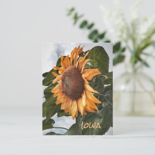 hallo van het Briefkaart Iowa (Staand voorkant)