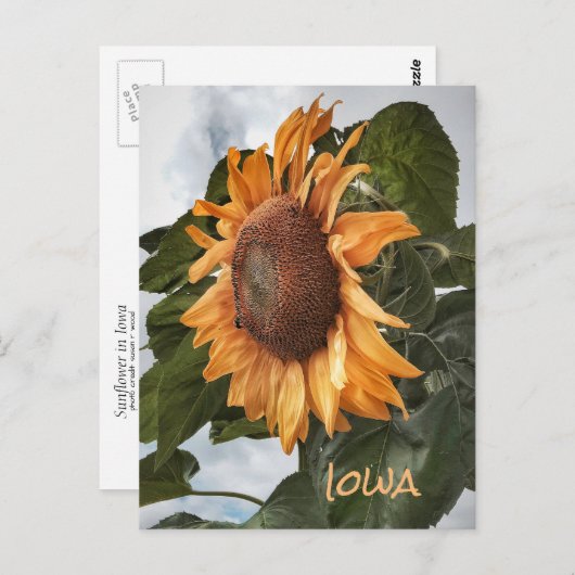 hallo van het Briefkaart Iowa (Voorkant / Achterkant)