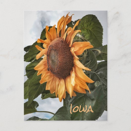 hallo van het Briefkaart Iowa (Voorkant)