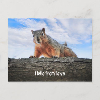 hallo van het Briefkaart Iowa