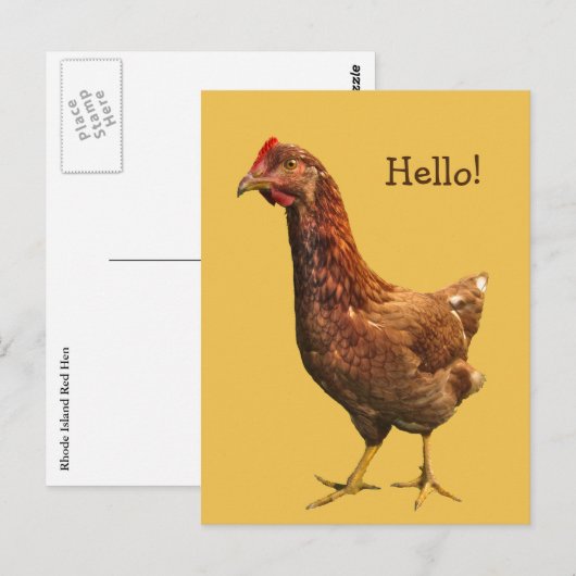 hallo van het Briefkaart Rode Hen Chicken (Voorkant / Achterkant)