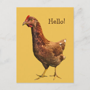 hallo van het Briefkaart Rode Hen Chicken