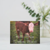 hallo van het Briefkaart Southern Illinois Calf (Staand voorkant)