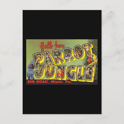hallo van het Oerwoud Parrot Briefkaart (Voorkant)