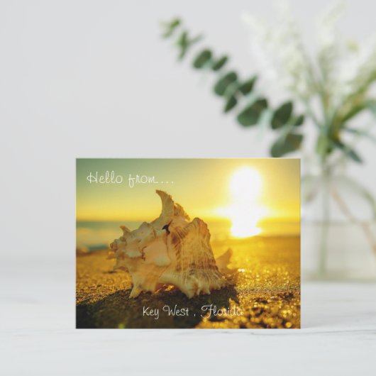 hallo van... Key West, Florida Briefkaart (Staand voorkant)