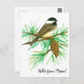 hallo van Maine Black Capped Chickadee Bird Briefkaart (Voorkant / Achterkant)