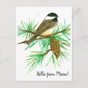 hallo van Maine Black Capped Chickadee Bird Briefkaart