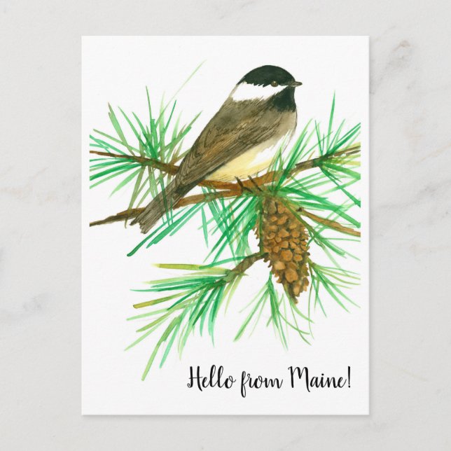 hallo van Maine Black Capped Chickadee Bird Briefkaart (Voorkant)