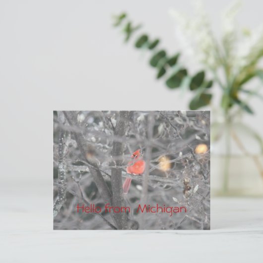 Hallo van Michigan Briefkaart (Staand voorkant)