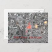 Hallo van Michigan Briefkaart (Voorkant / Achterkant)