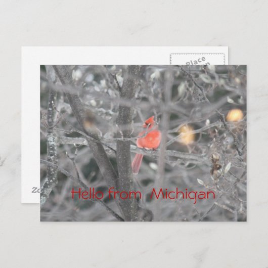 Hallo van Michigan Briefkaart (Voorkant / Achterkant)