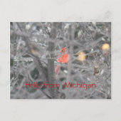 Hallo van Michigan Briefkaart (Voorkant)