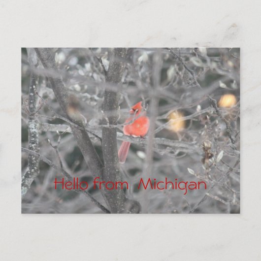 Hallo van Michigan Briefkaart (Voorkant)