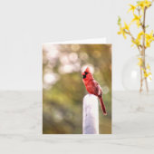 Hallo Van Mr. Cardinal Note Kaart (Gele Bloem)