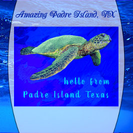 hallo van Padre Island TX Ocean Blue Zee Turtle Briefkaart