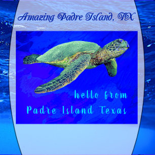 hallo van Padre Island TX Ocean Blue Zee Turtle Briefkaart