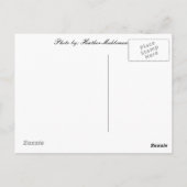 hallo van... Seneca Herfsten, NY Briefkaart (Achterkant)