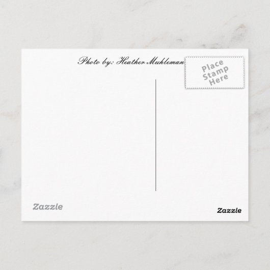 hallo van... Seneca Herfsten, NY Briefkaart (Achterkant)