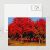 hallo van Tupelo Briefkaart (Voorkant / Achterkant)