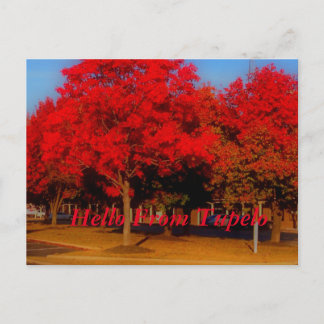 hallo van Tupelo Briefkaart