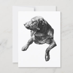 Hallo vanuit Evergreen Corners Briefkaart