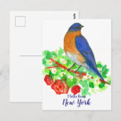 Hallo Verenigde Staten van New York Bluebird Rozen Briefkaart (Voorkant / Achterkant)