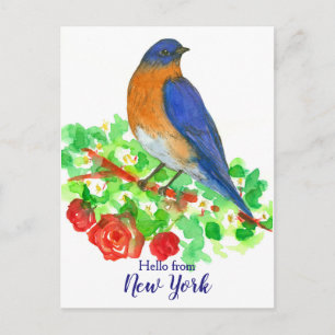 Hallo Verenigde Staten van New York Bluebird Rozen Briefkaart