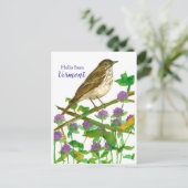 Hallo Vermont Hermit Thrush Paarse Klaver Briefkaart (Staand voorkant)