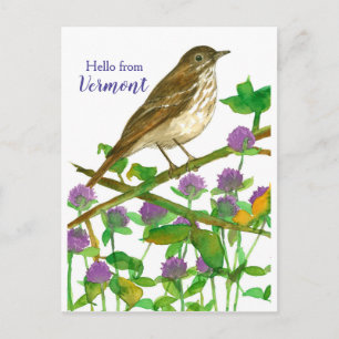 Hallo Vermont Hermit Thrush Paarse Klaver Briefkaart