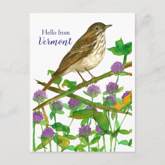 Hallo Vermont Hermit Thrush Paarse Klaver Briefkaart (Voorkant)
