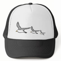 Hallo vliegende vogels