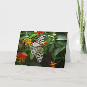 Hallo Vlinder en bloemen Hi/Wenskaart Kaart